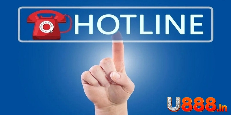 Tiến hành liên hệ thông qua số hotline